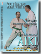 3 Levels of Aiki